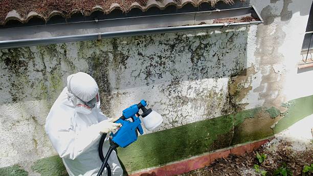 Trusted Mold Testing service in Flint Hill, VA - Cheap Mold Removal